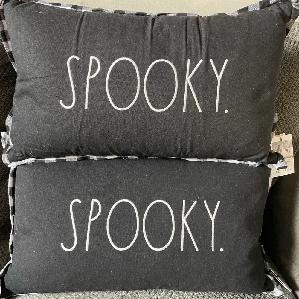 Rae Dunn SPOOKY Halloween 2 Pillows Set
